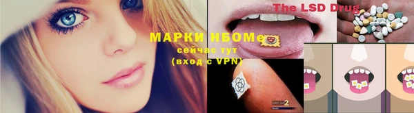 ГАЛЛЮЦИНОГЕННЫЕ ГРИБЫ Иннополис