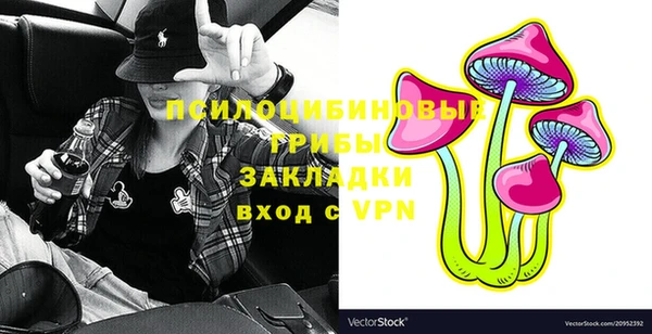 ГАЛЛЮЦИНОГЕННЫЕ ГРИБЫ Иннополис