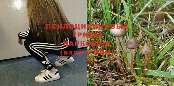 меф VHQ Инта