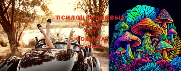 марки lsd Инсар