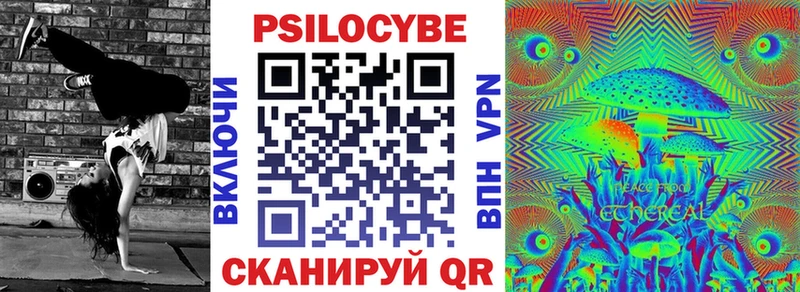 Псилоцибиновые грибы Psilocybine cubensis  Купить где  Асино 